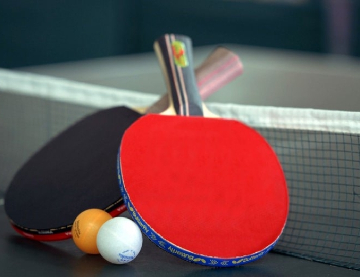 Настольный теннис - Пансионат «Шексна»